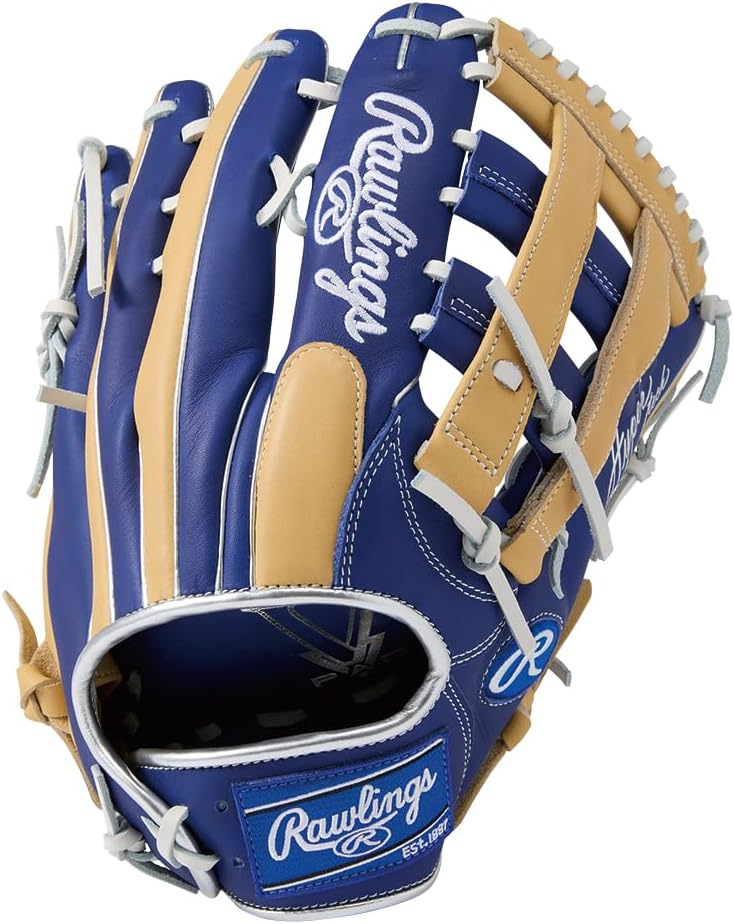 ローリングス(Rawlings) 野球用 グラブ グローブ ソフトボール用